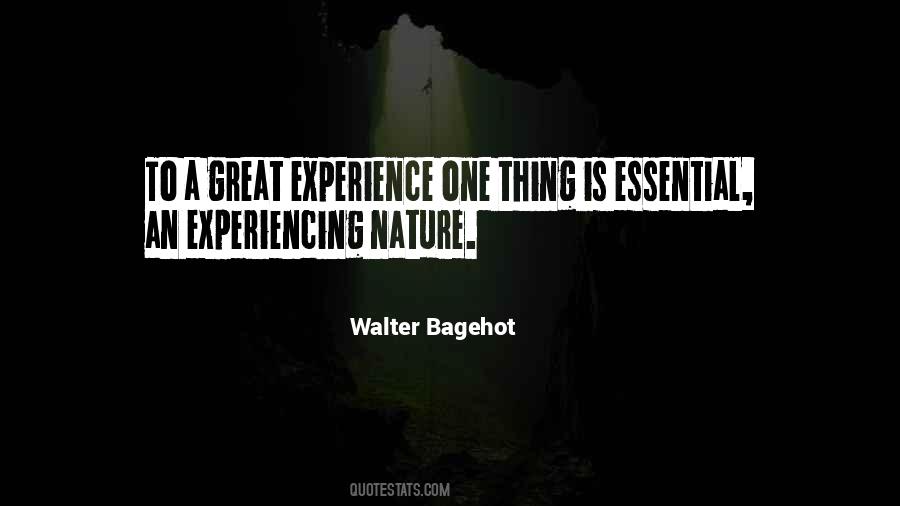 Quotes About A Great Experience #1849637