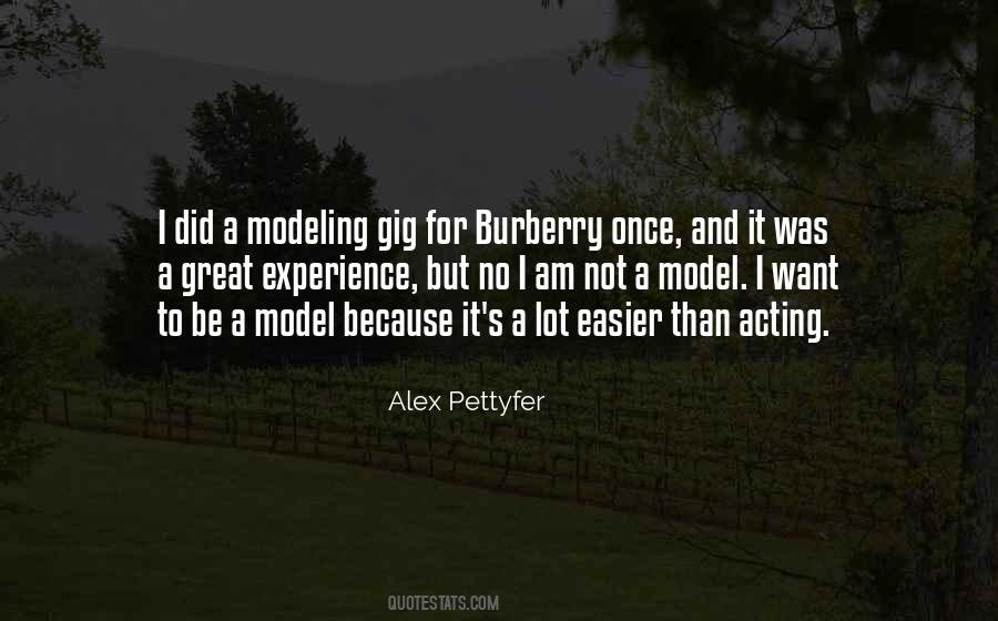 Quotes About A Great Experience #194215