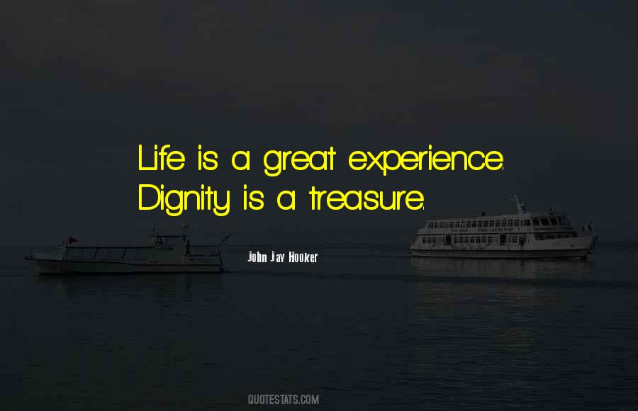 Quotes About A Great Experience #804306