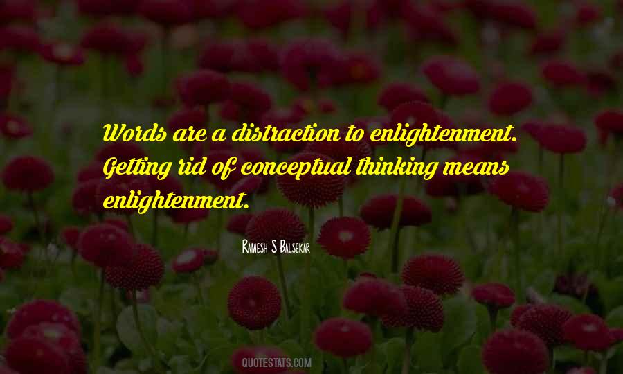 Quotes About Conceptual Thinking #1515857