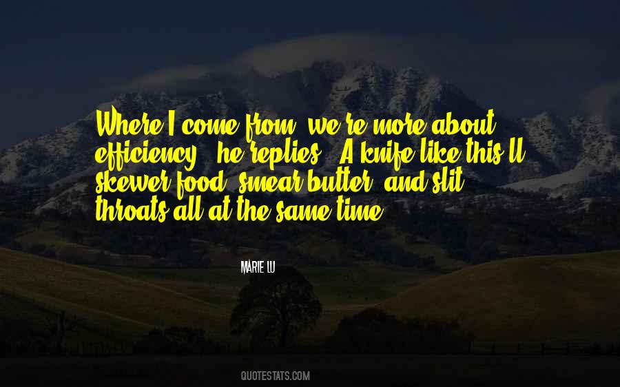 Quotes About Where We Come From #350073