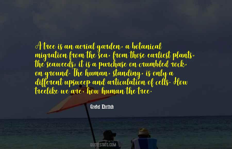 Sea Garden Quotes #906684
