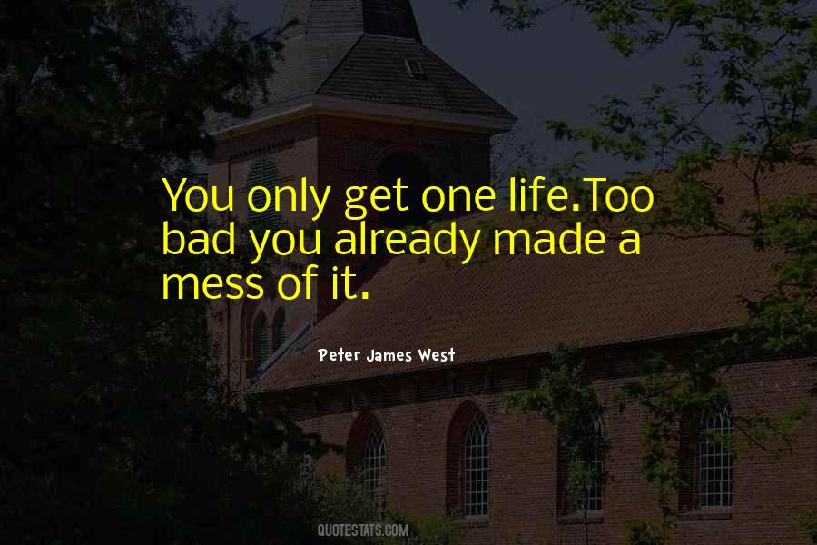 Quotes About A Mess #1125524