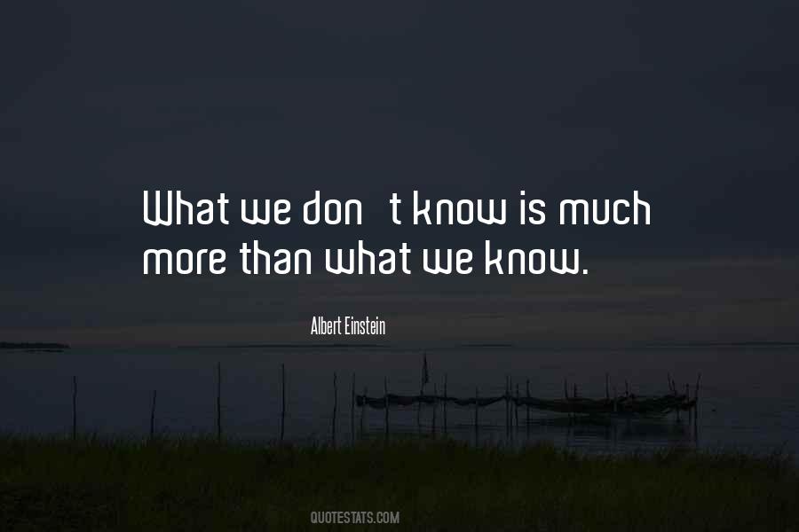 Quotes About What We Don't Know #1027255