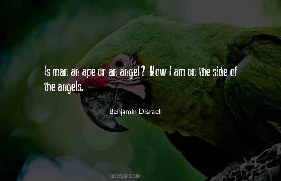 Quotes About Angels #1645165