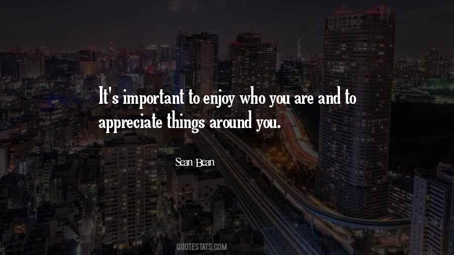 Appreciate Things Quotes #325073