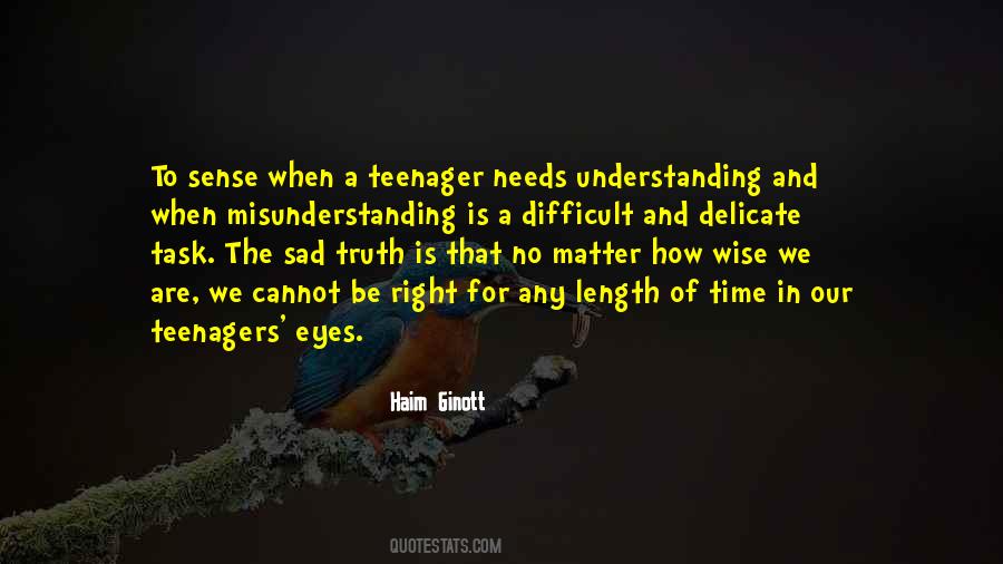 Quotes About Understanding And Misunderstanding #138074