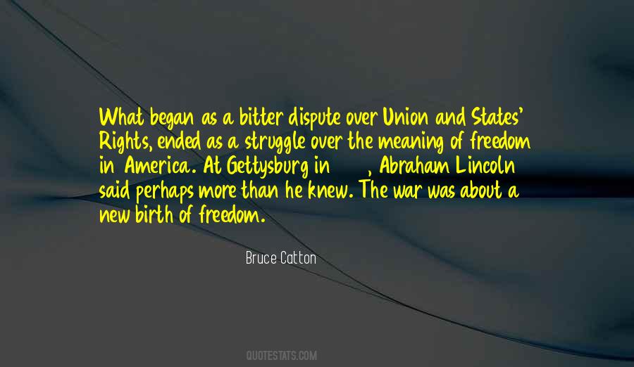 Quotes About Freedom And America #566992