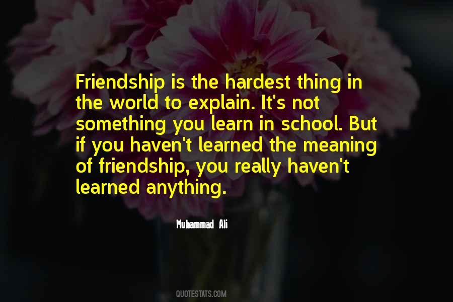 Quotes About The Meaning Of Friendship #311184