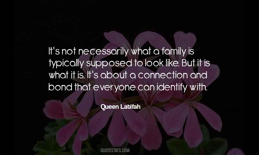 Family Connection Quotes #1259020
