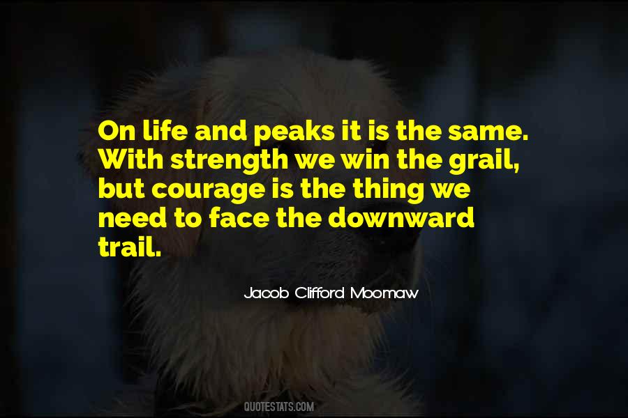 Quotes About Courage To Face Life #1338179