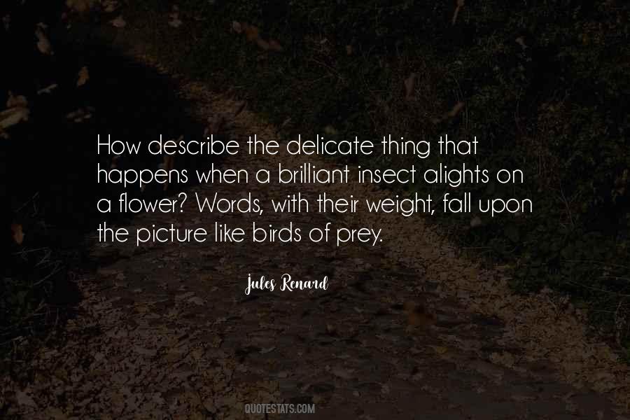 Quotes About Delicate Things #581546