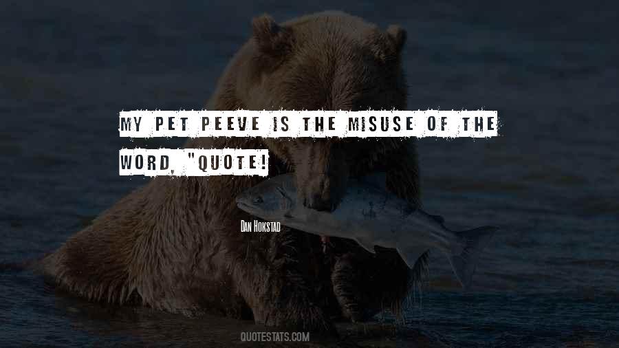 Quotes About Misuse #739128