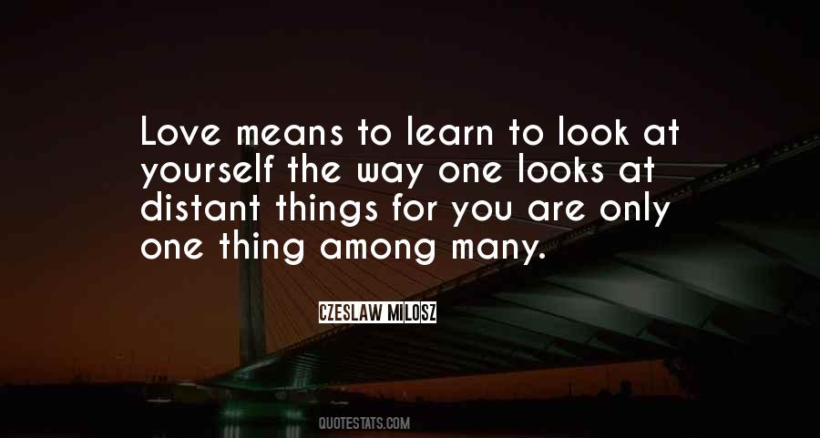 Quotes About Look At Yourself #88904