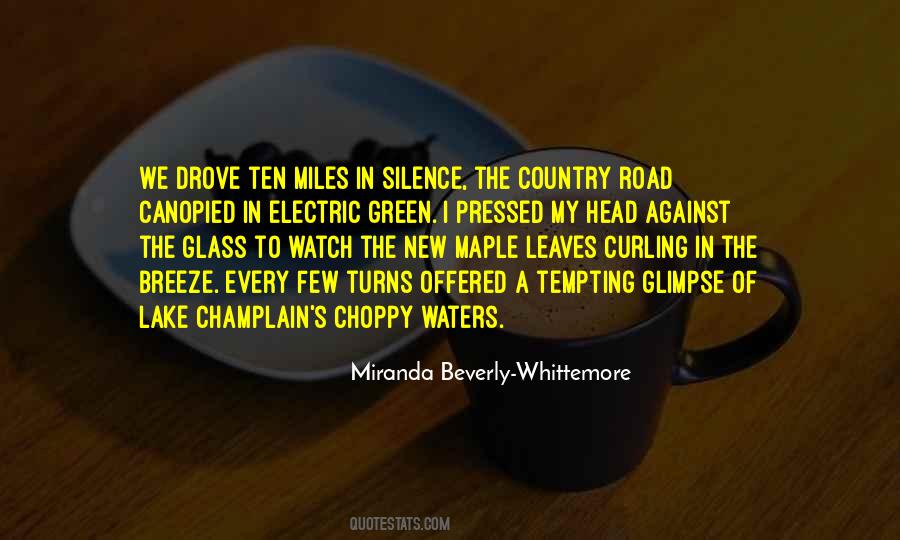 Quotes About Lake Champlain #35657