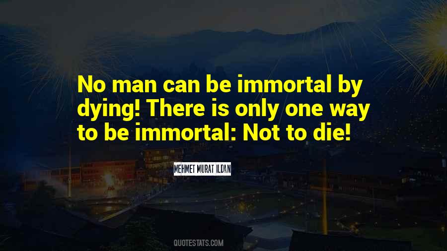 Turkish Quotes Quotes #1003918