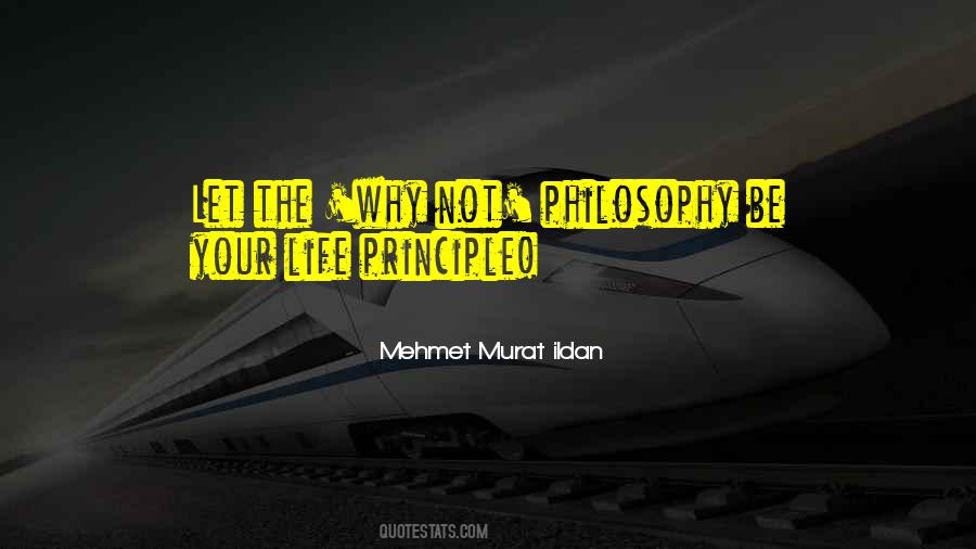 Turkish Quotes Quotes #244946