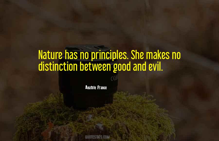 Quotes About Good And Evil Nature #865182