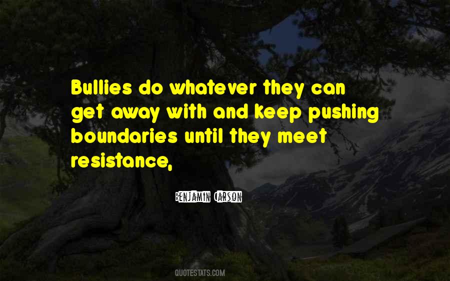 Quotes About Pushing Boundaries #981763