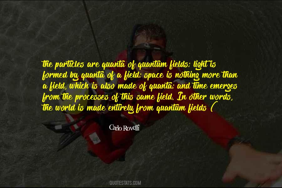 Quantum Fields Quotes #254389