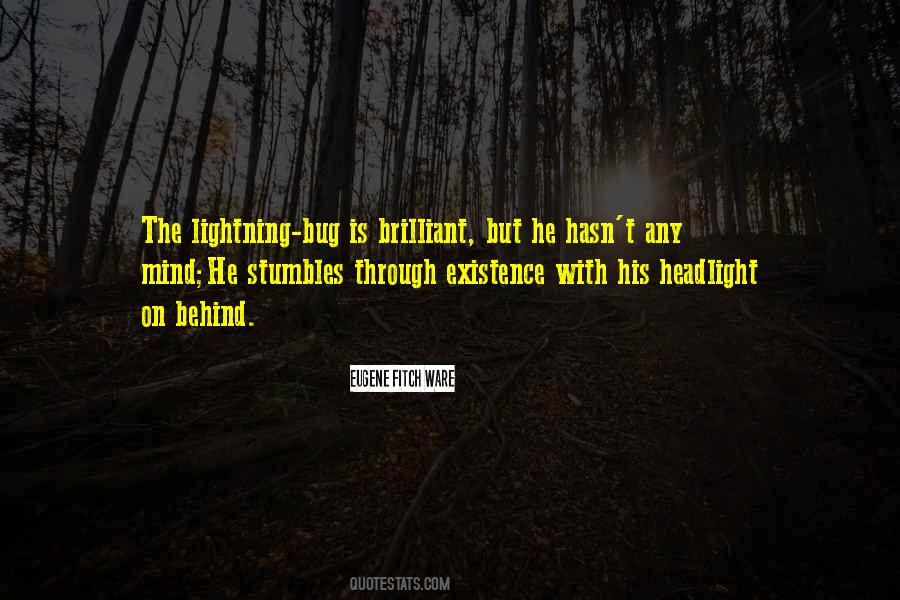 Quotes About Lightning Bugs #1038939