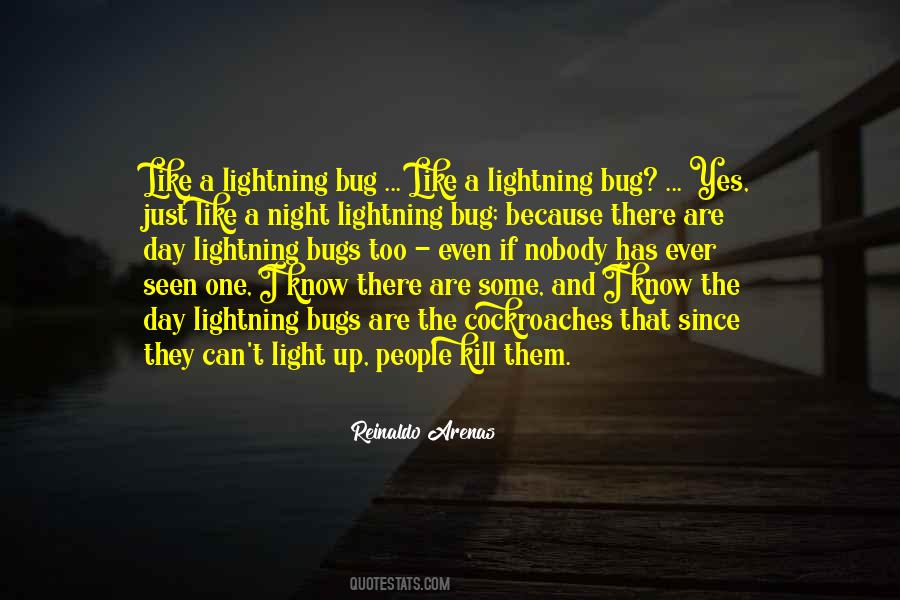 Quotes About Lightning Bugs #937683