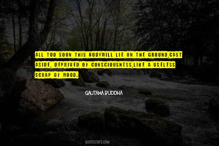 Quotes About Sports And Games Essay #1042811