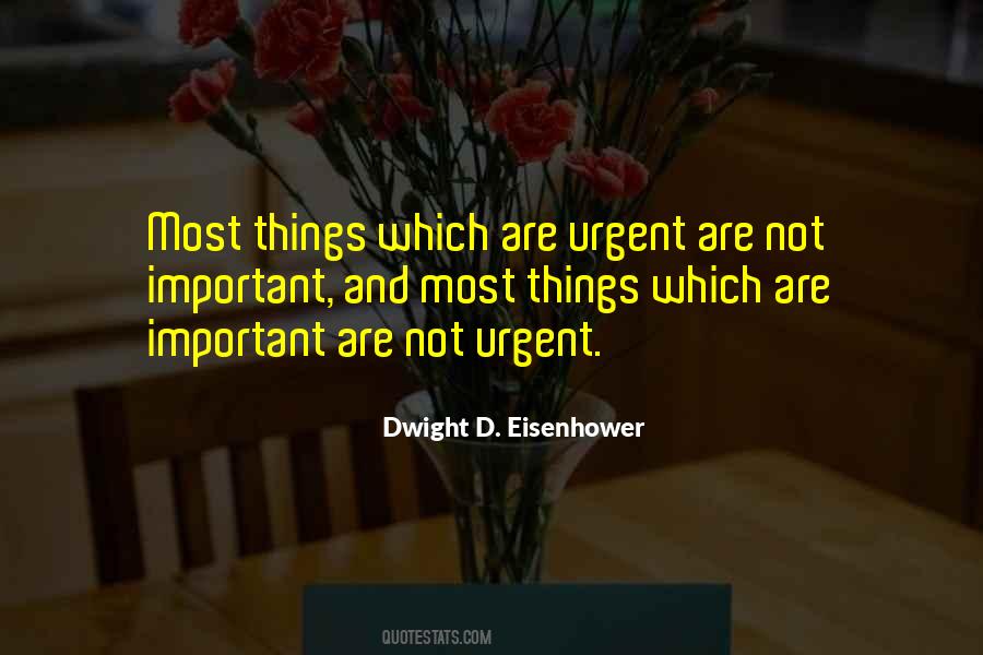 Important But Not Urgent Quotes #853004