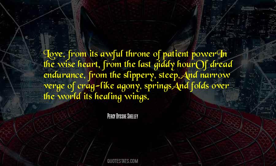 Patient Endurance Quotes #117391