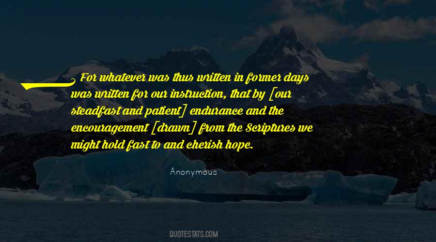 Patient Endurance Quotes #1776815