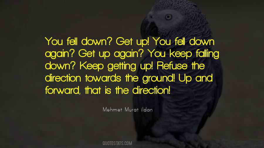 Quotes About Falling Down And Getting Up Again #1673053