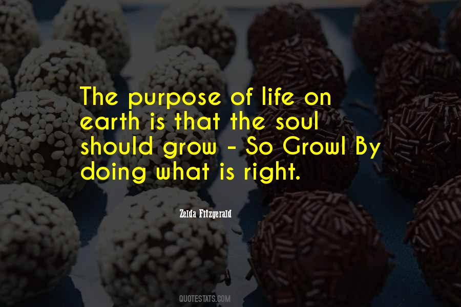 Quotes About The Purpose Of Life #1615385