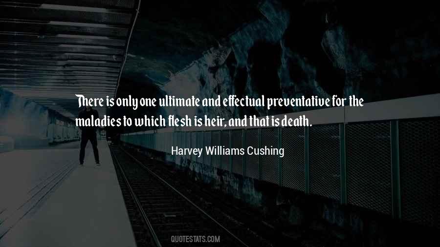 El C3 A4m C3 A4nfilosofia Quotes #1107135