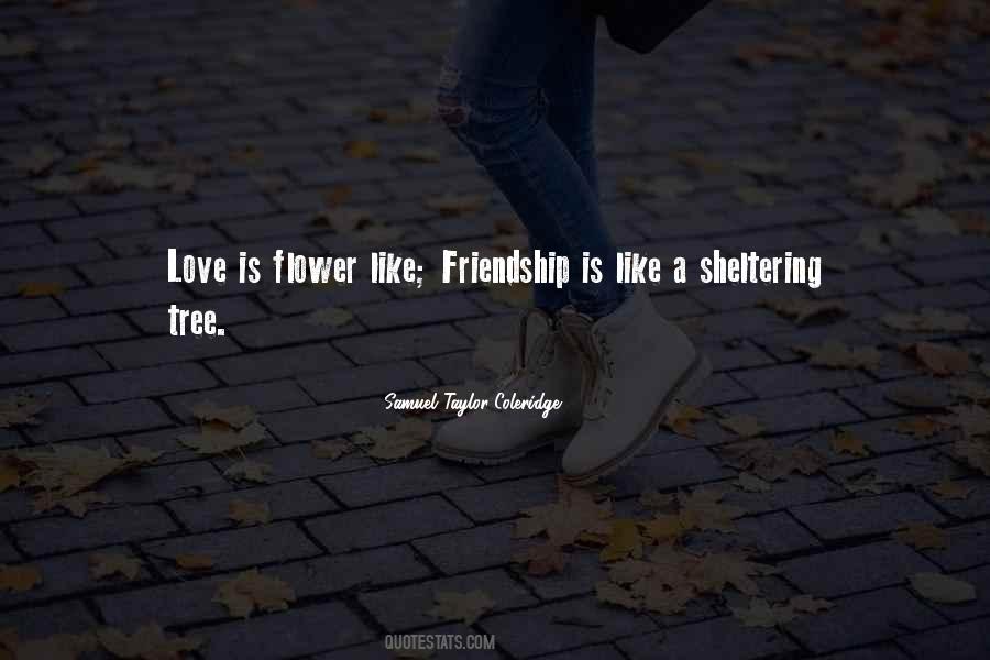 Quotes About Sheltering #1109393