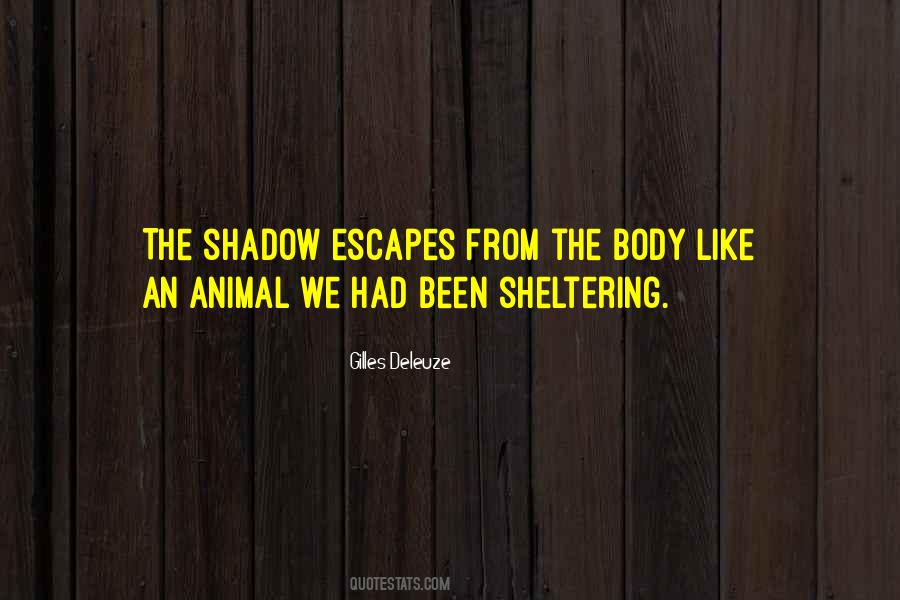 Quotes About Sheltering #469868