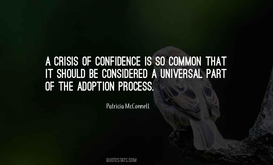 Quotes About Adoption Process #114027