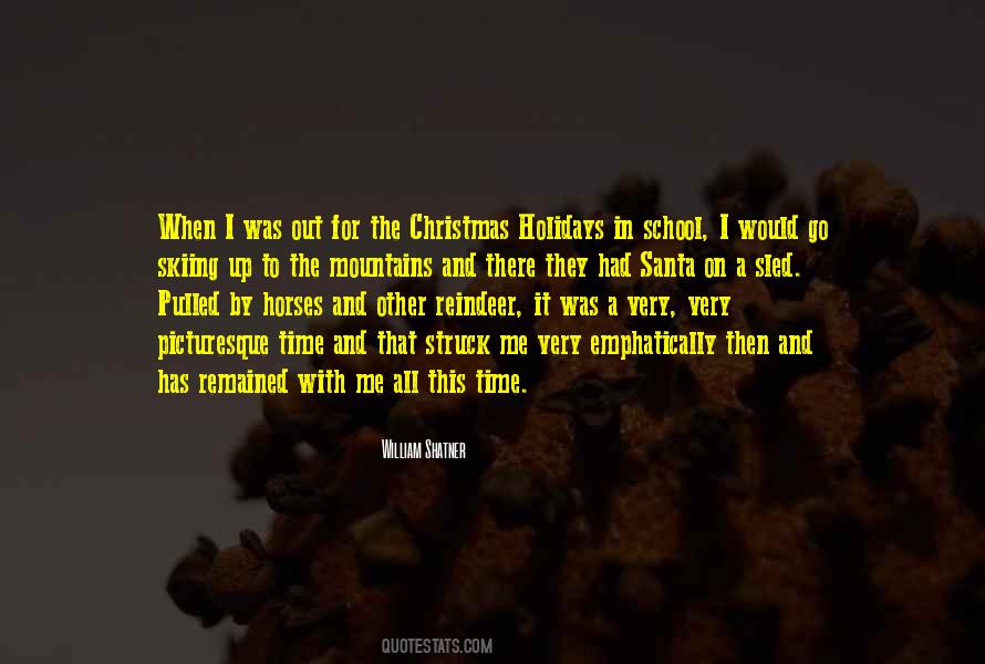 Quotes About Holidays Christmas #1711967