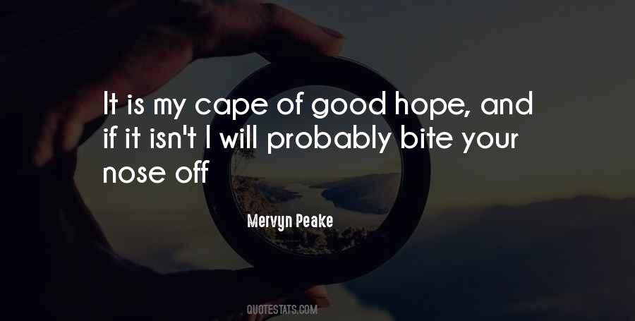 Quotes About Cape Of Good Hope #897299
