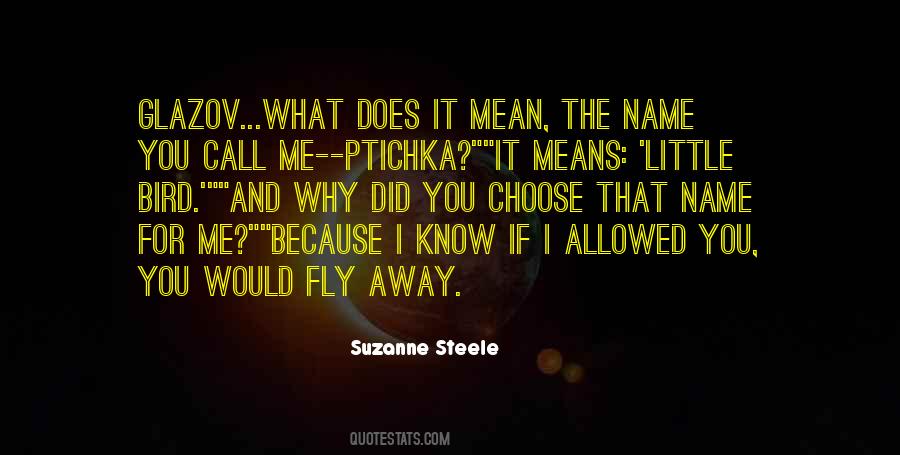 Quotes About Fly Away #496553