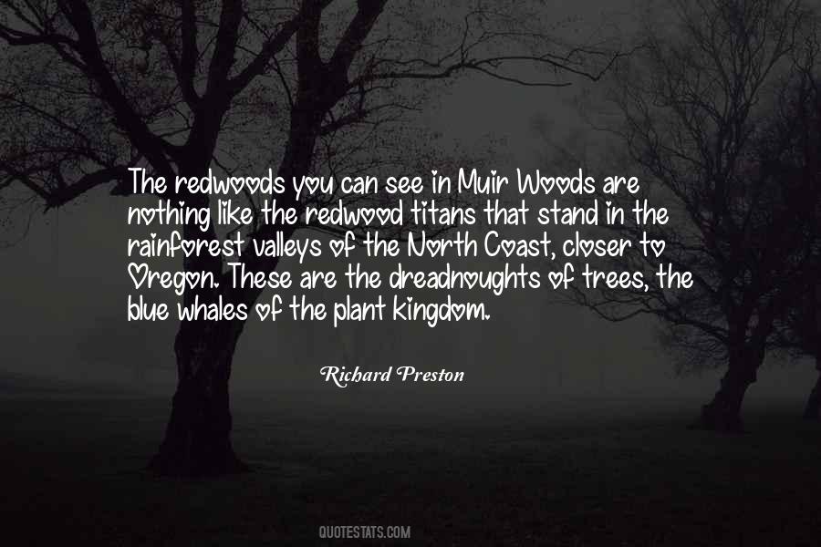 North Woods Quotes #178809