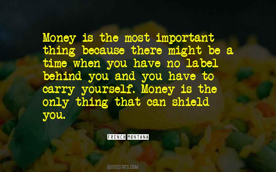 Quotes About Money Is Important #480952