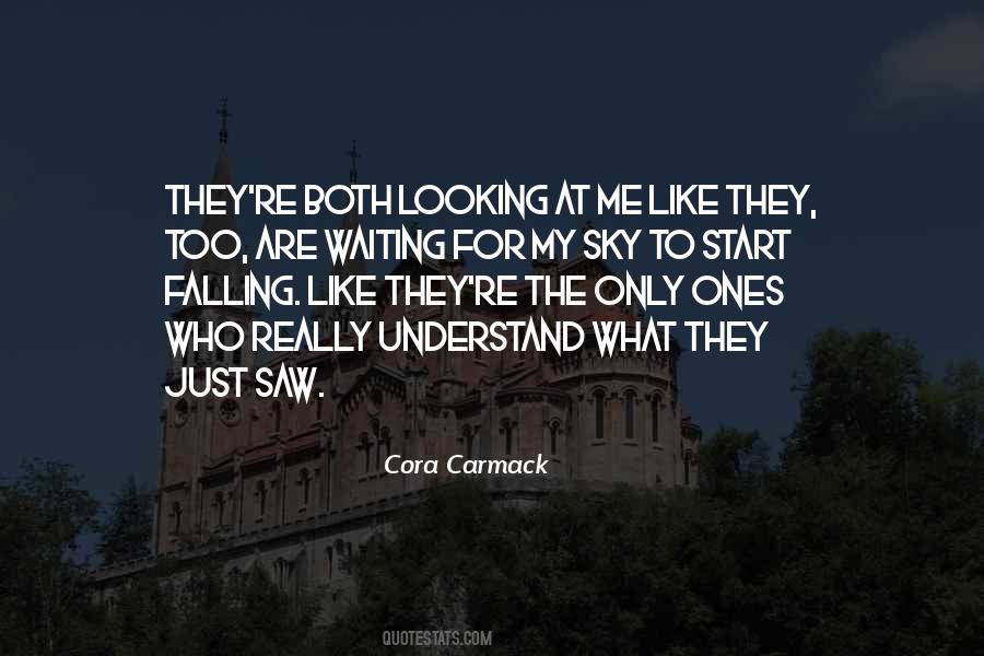 Quotes About The Sky Falling #82126