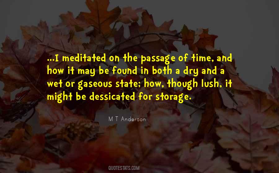 Quotes About Passage Of Time #416781