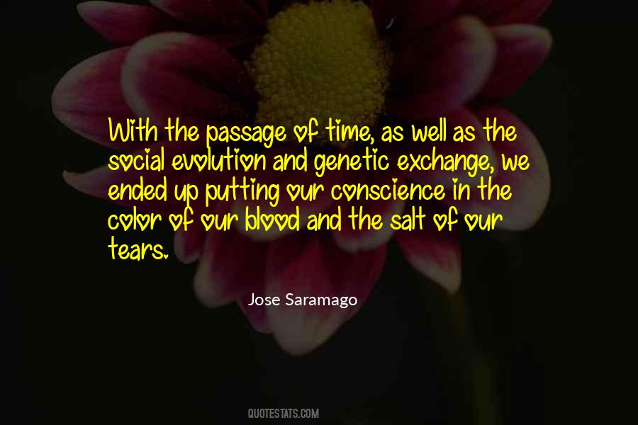 Quotes About Passage Of Time #773029