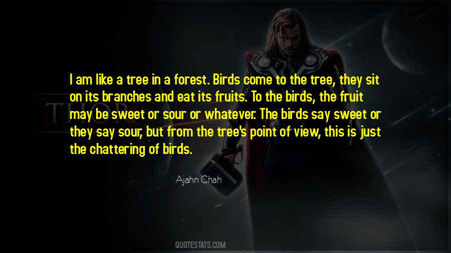 Quotes About Birds #1585593