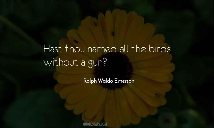 Quotes About Birds #1621878