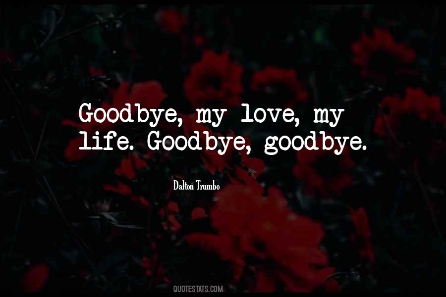 Quotes About Goodbye To Someone You Love #280240