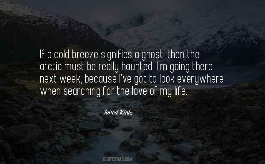 Haunted Look Quotes #780725