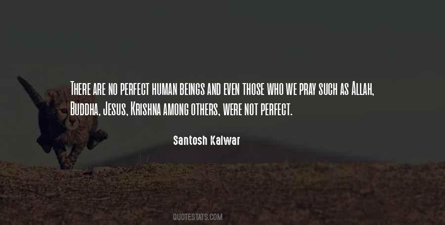 Quotes About We Are Not Perfect #1001057