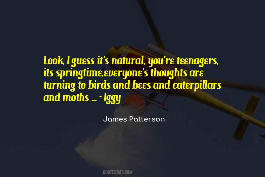 Quotes About The Birds And The Bees #1331751